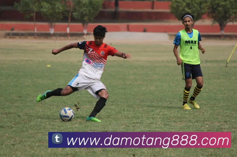 华体会平台生态图